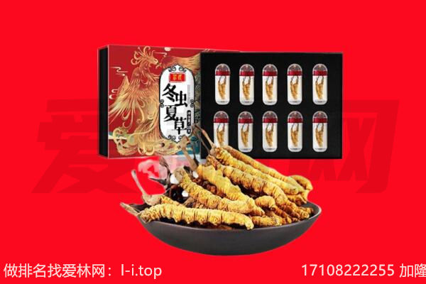 保定博野县回收虫草.jpg